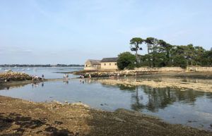 Ile de Berder © Donatienne Guillaudeau