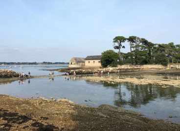 Ile de Berder © Donatienne Guillaudeau