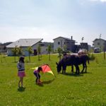 Les enfants jouent aux Hauts de Toulvern