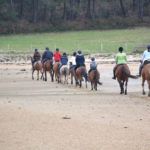 Balade à cheval sur la plage