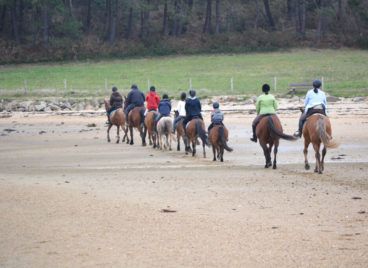 Balade à cheval sur la plage