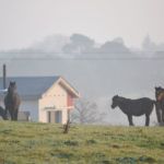 Les Hauts de Toulvern en hiver