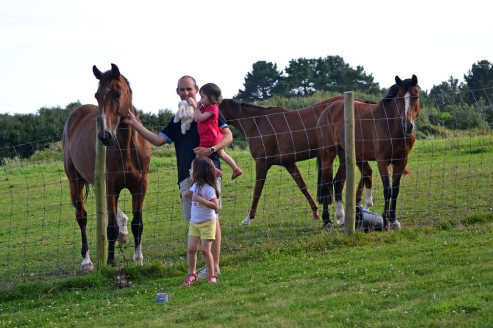 Chevaux aux Hauts de Toulvern