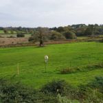 Les chevaux aux Hauts de Toulvern