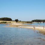 Plage des Sept-île à quelques pas des gites