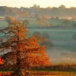 Les Hauts de Toulvern en hiver