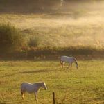 La douceur de l'hiver aux Hauts de Toulvern