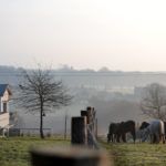 L'hiver dans le Golfe du Morbihan