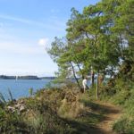 Sentier côtier au bord du Golfe du Morbihan