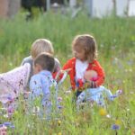 Enfants jouant aux Gites Les Hauts de Toulvern