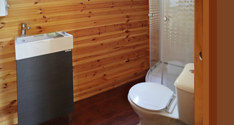 Salle de bain avec douche, WC et lavabo