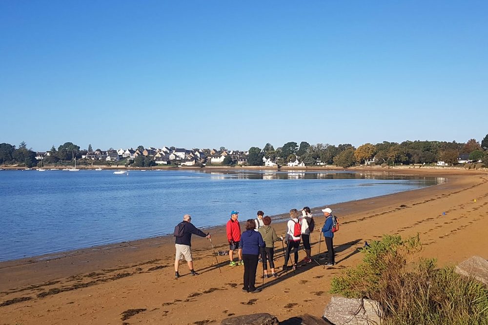 Balade en groupe sur la plage