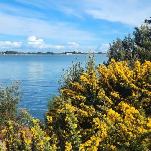 Le printemps dans le Golfe du Morbihan