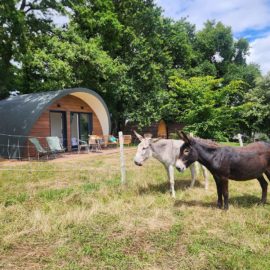 Ecolodge aux Hauts de Toulvern Baden 56