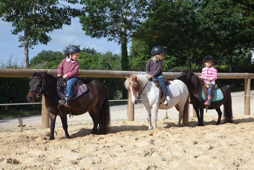 Equitation au centre équestre de Baden